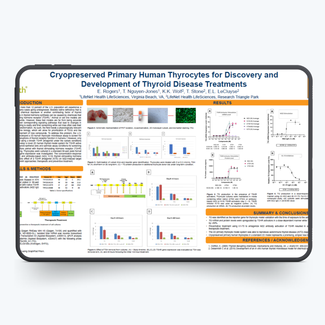Cryopreserved primary human thyrocytes poster_SOT 2024 thumbnail-1