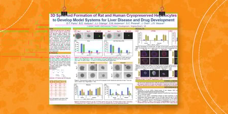 Danielle Parks_SOT Poster thumbnail