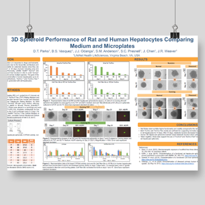 ESTIV 2026_Danielle Poster