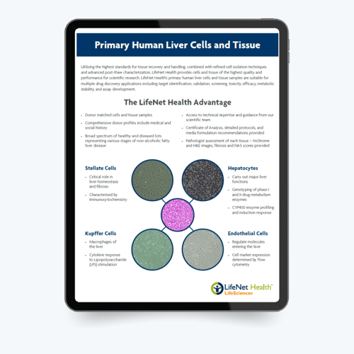 primary liver cells thumbnail