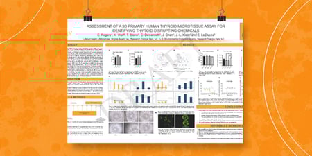 Eda Rogers_SOT poster