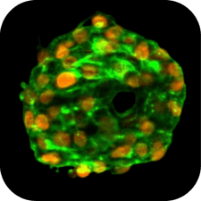 Circle Email graphic