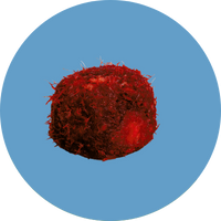 PliaFX Pak PliaFX Pak