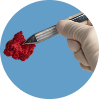 PliaFX Prime PliaFX Prime