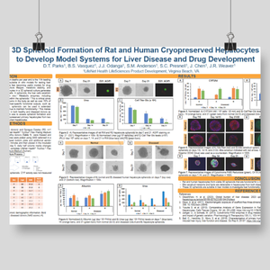 SOT 2026_Danielle Poster