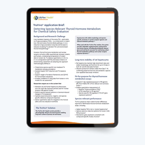 Truvivo T4 Brief thumbnail