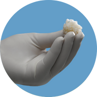 ViviGen Cellular Bone Matrix ViviGen Cellular Bone Matrix