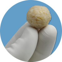 ViviGen Formable ViviGen Formable