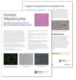 hepatocytes-brochure-thumbnail