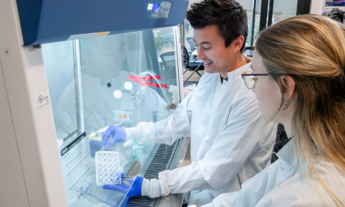 Assay Services_LP Image