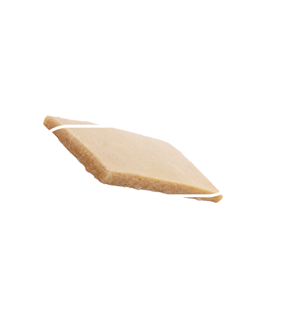 pill-dermal-matrix pill-dermal-matrix